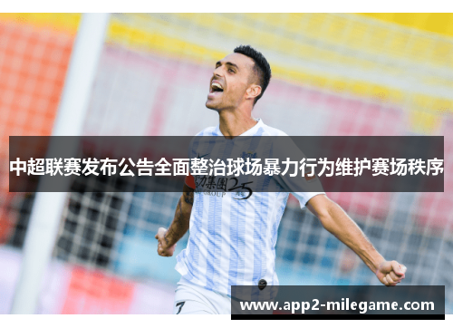 中超联赛发布公告全面整治球场暴力行为维护赛场秩序